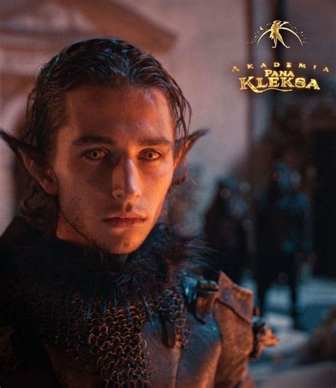 Die Akademie 2025 streaming